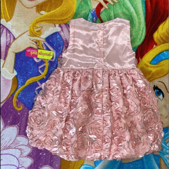 NWT ROSE DRESS 🌹 - Picture 3 of 5